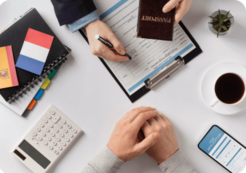 Terms and Conditions